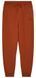 Штани FOX WORDMARK Jogger Pant [Brown], Medium