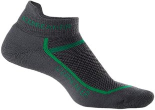 Шкарпетки Icebreaker Multisport Cushion micro MEN oil/black M