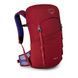 Рюкзак Osprey Jet 18 [cosmic red] - O/S