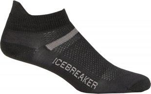 Шкарпетки Icebreaker Multisport Superlite Micro MEN oil/silver/oil M