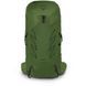 Рюкзак Osprey Talon 36 [green belt/black] - S/M