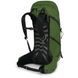 Рюкзак Osprey Talon 36 [green belt/black] - S/M