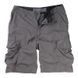 Повсякденні шорти FOX Surbachi Cargo Short [Grey], 31