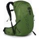 Рюкзак Osprey Talon 22 [green belt/black] - S/M