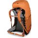 Рюкзак Osprey Ace 38 [orange sunset] - O/S