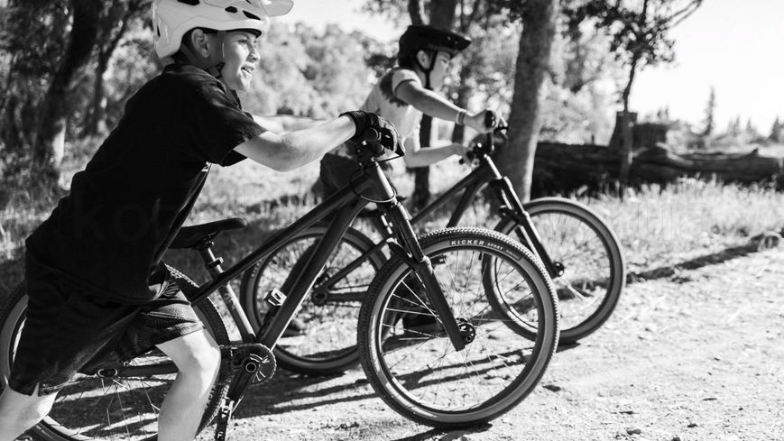 Велосипед Specialized P.2 24" DKMOS/OAKGRN/HRVGLD (91923-7024)