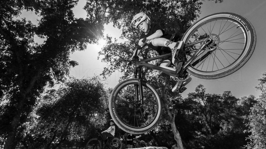 Велосипед Specialized P.2 24" DKMOS/OAKGRN/HRVGLD (91923-7024)