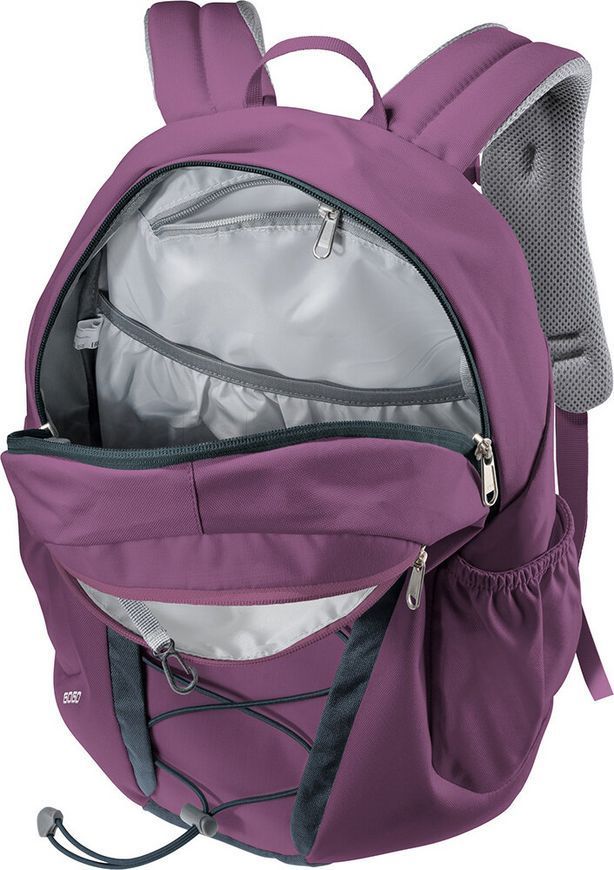 Рюкзак Deuter Gogo 25л [plum-ink]