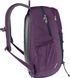 Рюкзак Deuter Gogo 25л [plum-ink]