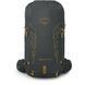 Рюкзак Osprey Talon Velocity 30 [dark charcoal/tumbleweed yellow] - S/M