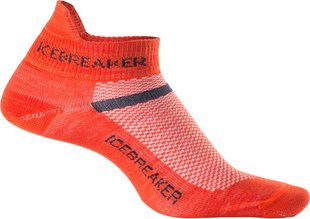 Шкарпетки Icebreaker Multisport UltraLight micro MEN heat/admiral M