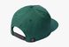 Кепка Race Face CL Snapback Hat-Pine-OS