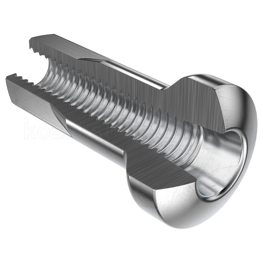 Ніпелі DT Swiss Hidden Aluminium 2.0 x 12 mm 100шт Silver