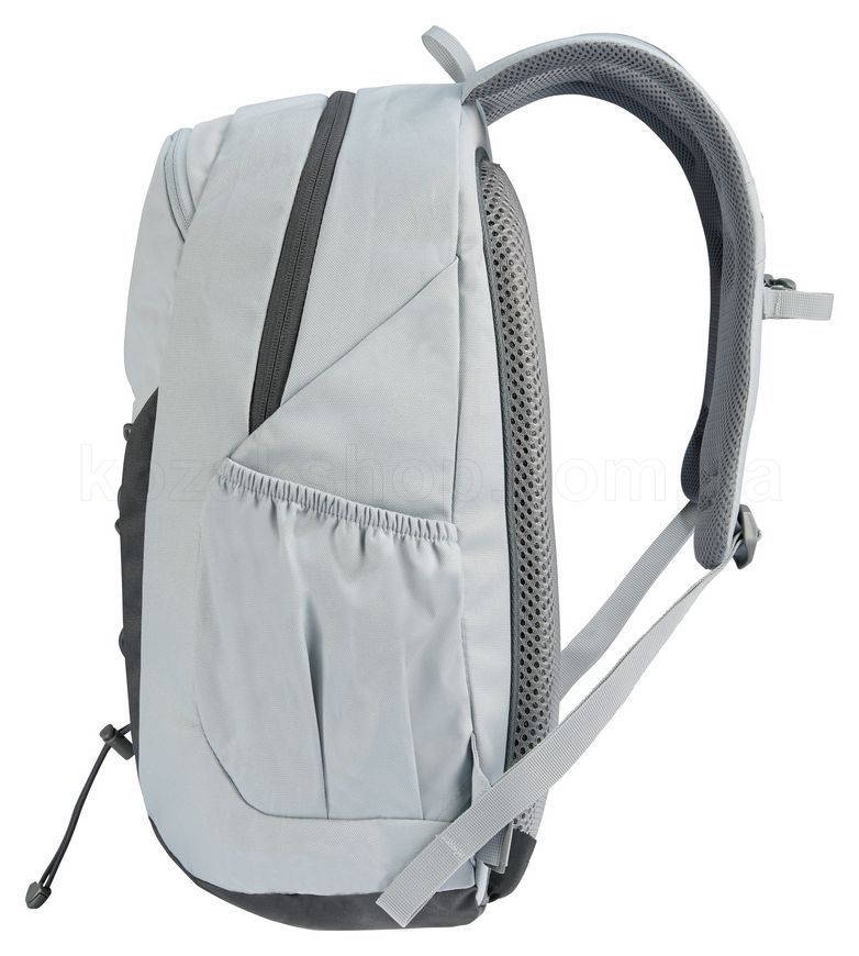 Рюкзак Deuter Gogo 25 л Tin Graphite