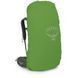 Рюкзак Osprey Kestrel 68 [bonsai green] - S/M