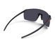 Окуляри Julbo FASTER L NOIR TR/NOIR RP13LAF
