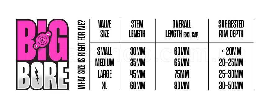 Ніпелі Muc-Off Big Bore Lite Tubeless Valves - Small (30mm) [Iridescent]