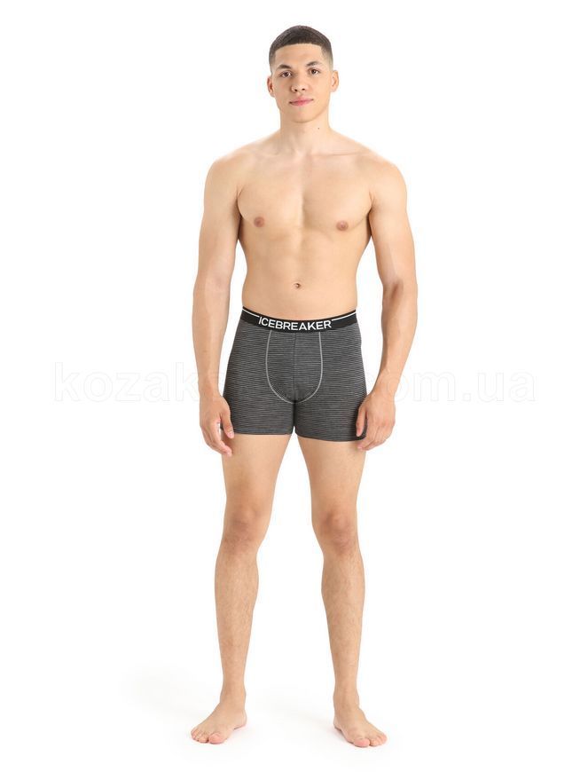 Трусы Icebreaker Anatomica Boxers MEN [Gritstone Heather] - M