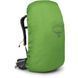 Рюкзак Osprey Sirrus 36 [succulent green] - O/S