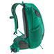 Рюкзак Deuter Race X 12 л [fern-graphite]
