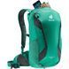 Рюкзак Deuter Race X 12 л [fern-graphite]