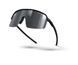 Окуляри Julbo INTENSITY NOIR/BLANC SP3P