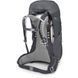 Рюкзак Osprey Sirrus 36 [tunnel vision grey] - O/S