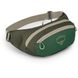 Поясная сумка Osprey Daylite Waist [green canopy/green creek] - O/S