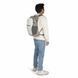 Рюкзак Osprey Daylite Plus [mystery white multi] - O/S