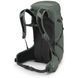 Рюкзак Osprey Sportlite 30 [pine leaf green] - S/M