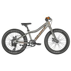 Дитячий велосипед SCOTT Roxter 20 raw alloy - One Size