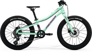 Дитячий велосипед MERIDA MATTS J. 20+ I2 - UNI, [MATT MINT(PURPLE/WHT/BLK)]