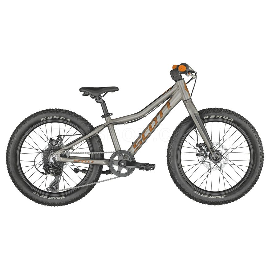 Детский велосипед SCOTT Roxter 20 raw alloy - One Size