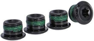 Бонки SRAM E-BIKE BOSCH/FAZUA chainring bolt kit 4x1 M10x0.75 T30 qty 4