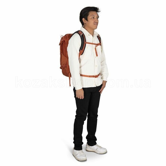Рюкзак Osprey Nebula 32 [moss green/earl grey heather] - O/S