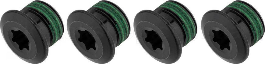 Бонки SRAM E-BIKE BOSCH/FAZUA chainring bolt kit 4x1 M10x0.75 T30 qty 4