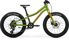 Детский велосипед MERIDA MATTS J. 20+ I2 - UNI, [FALL GREEN(RED/BLACK)]