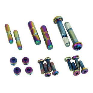 Комплект болтов тормозной ручки SRAM Disc Brake Lever Hardware Upgrade Kit - Rainbow (includes reservoir cap bolts, bleed screws, swinglink pins, mmx bolts, pivot bolts) to upgrade QTY 2 levers, G2 ULT/RSC (00.5318.029.001)