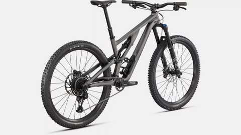 Specialized stumpjumper hot sale 29 alloy