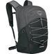 Рюкзак Osprey Quasar 26 [phantom grey heather] - O/S