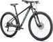 Велосипед Specialized ROCKHOPPER SPORT 29 [FSTGRN/OIS] - L (91522-6804)