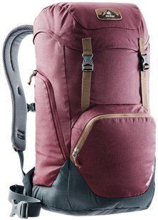 Рюкзак Deuter Walker 24 л Maron Granite