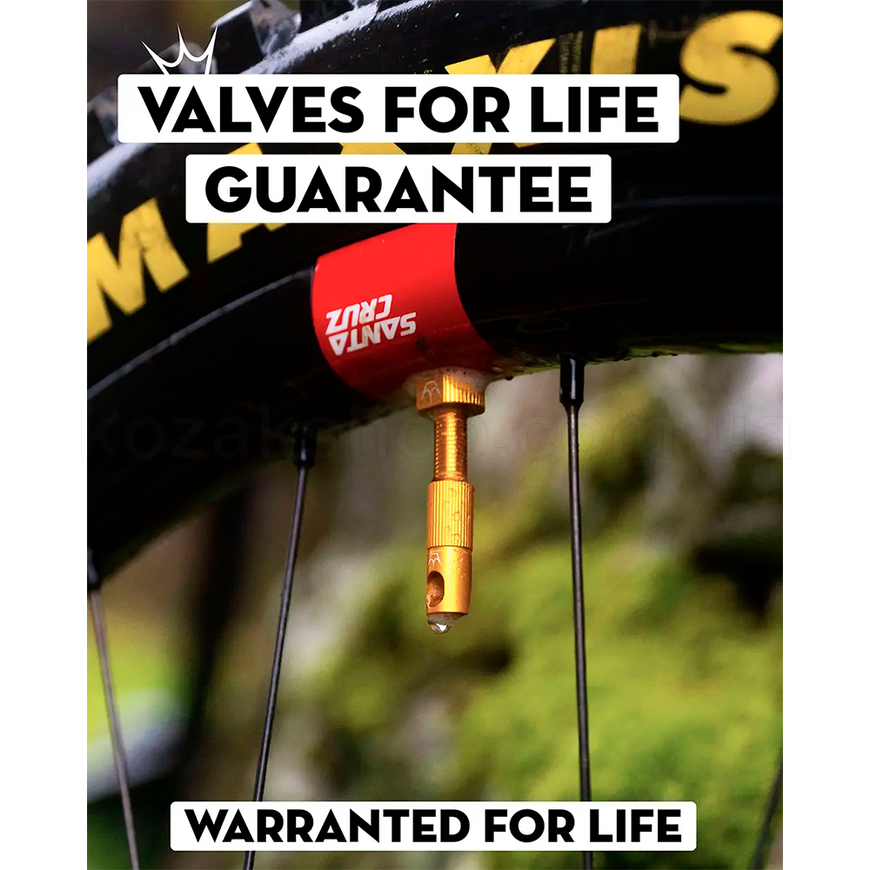 Ніпелі Peaty's x Chris King Tubeless Valves, 42mm, Gold