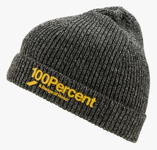 Шапка Ride 100% ECHO Beanie [Grey], One Size