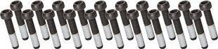 Болты крепления калипера AVID CPS Mounting Bolt Button Head 29mm Qty 20 (11.5015.069.290)