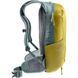Рюкзак Deuter Race 8 л [turmeric-ivy]