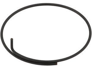 Пружина DT SWISS RETAINER SPRING (HXDXXX00S4075S)