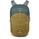 Рюкзак Osprey Quasar 26 [green tunnel/brindle brown] - O/S