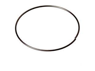 Пружина DT SWISS RETAINER SPRING &Oslash;21.4 (HXDXXX00S4197S)