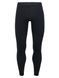 Термоштани Icebreaker 200 Oasis Leggings Black / Monsoon M